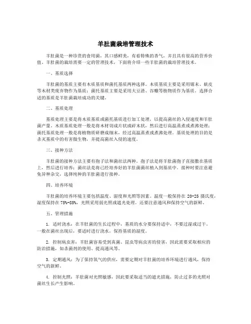 羊肚菌栽培管理技术
