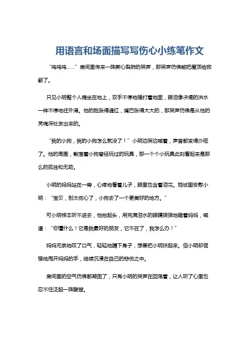 用语言和场面描写写伤心小练笔作文