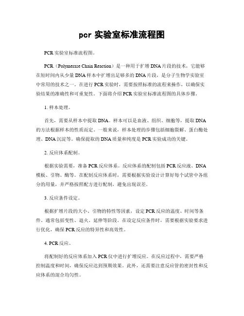 pcr实验室标准流程图
