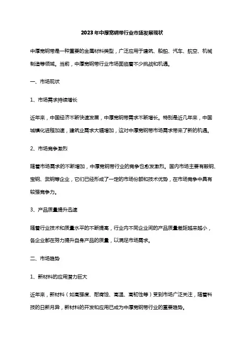 2023年中厚宽钢带行业市场发展现状