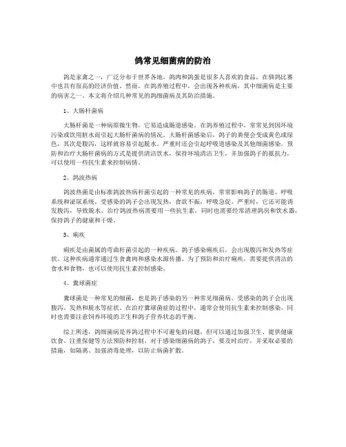 鸽常见细菌病的防治