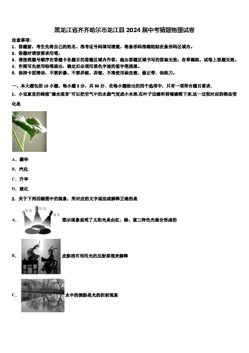 黑龙江省齐齐哈尔市龙江县2024届中考猜题物理试卷含解析