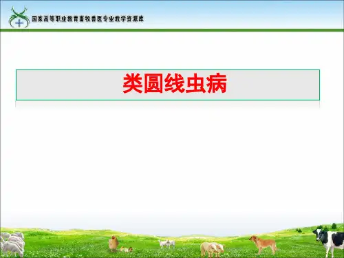 类圆线虫病.