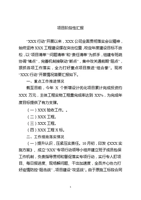 项目阶段性成果汇报1