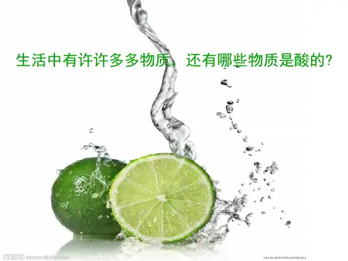 九年级上《常见的酸》精品ppt下载浙教版1