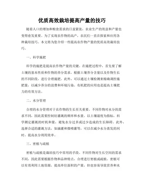 优质高效栽培提高产量的技巧