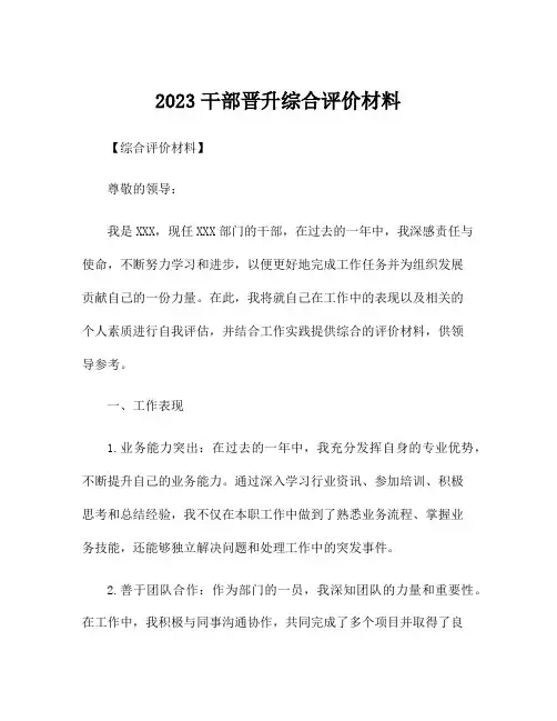 2023干部晋升综合评价材料