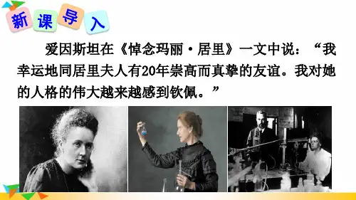 八年级上册语文教学课件《美丽的颜色》