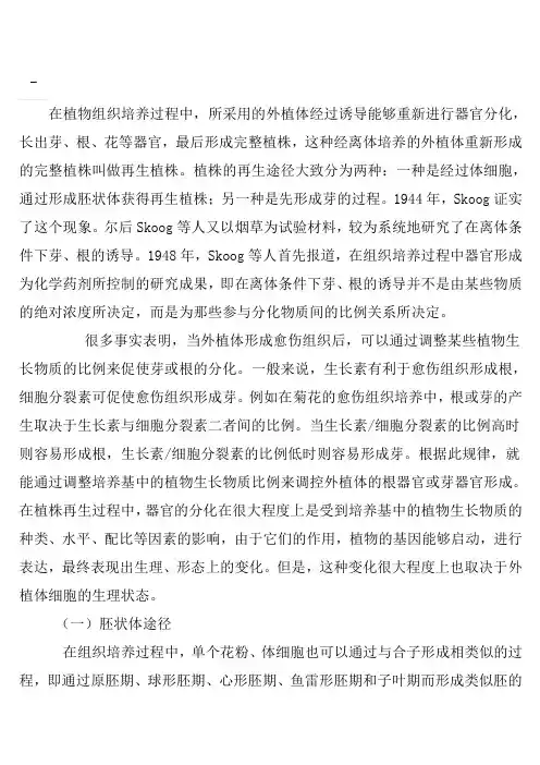器官与胚状体发生途径