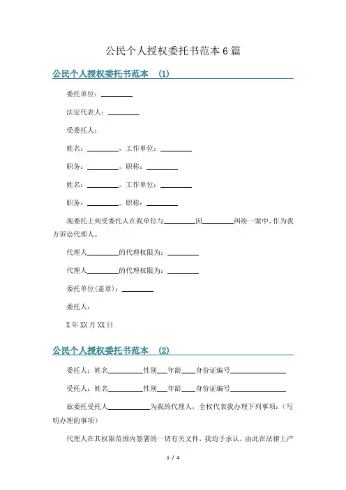 公民个人授权委托书范本6篇