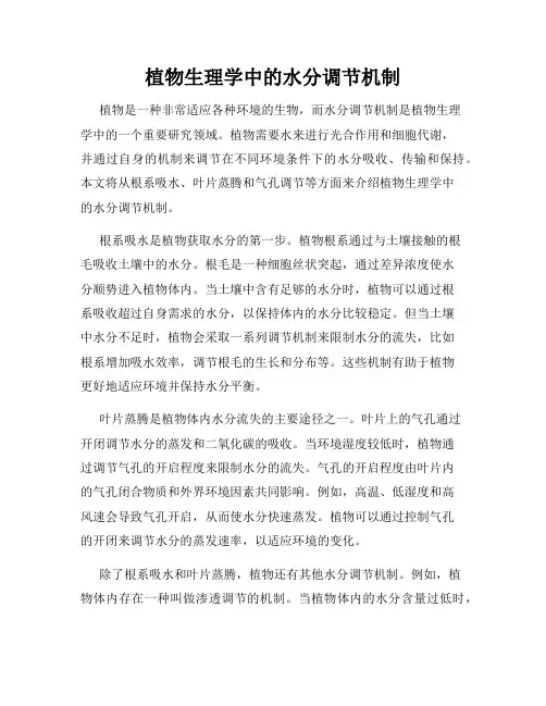植物生理学中的水分调节机制