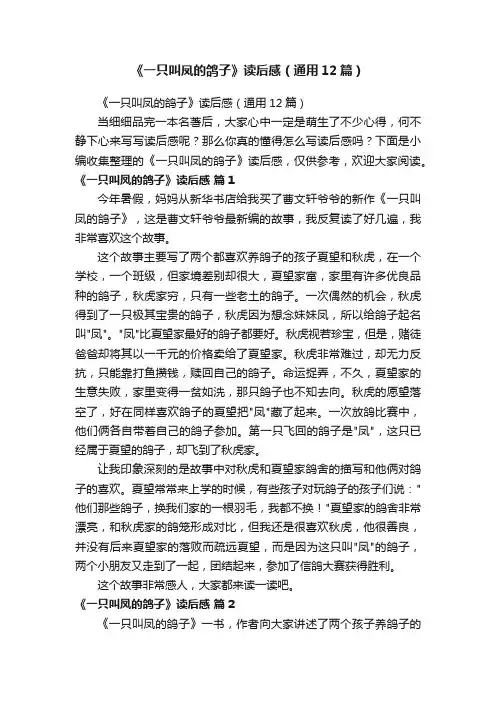 《一只叫凤的鸽子》读后感（通用12篇）