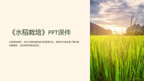 《水稻栽培》课件