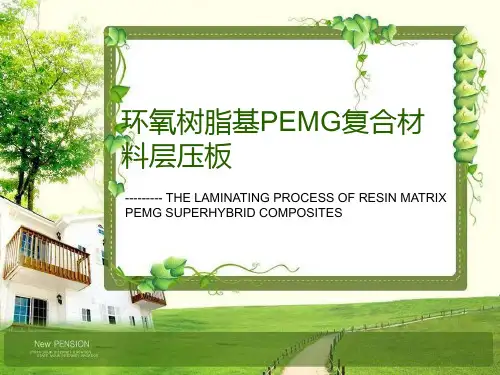 环氧基改性PEMG.