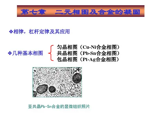 材料科学基础I__第七章__(相图)