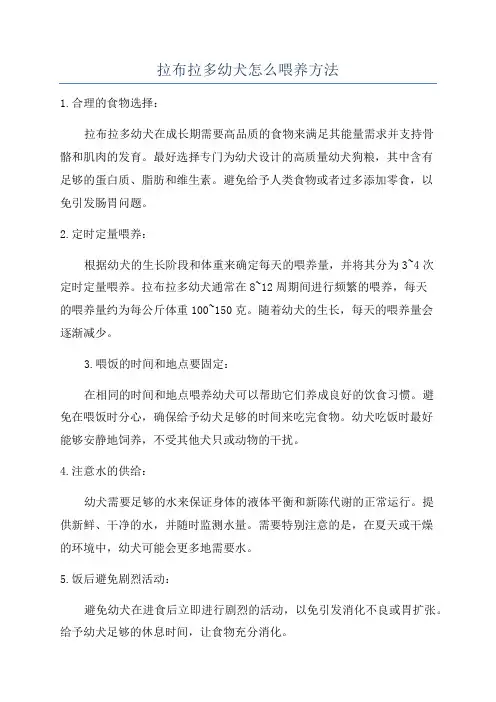 拉布拉多幼犬怎么喂养方法