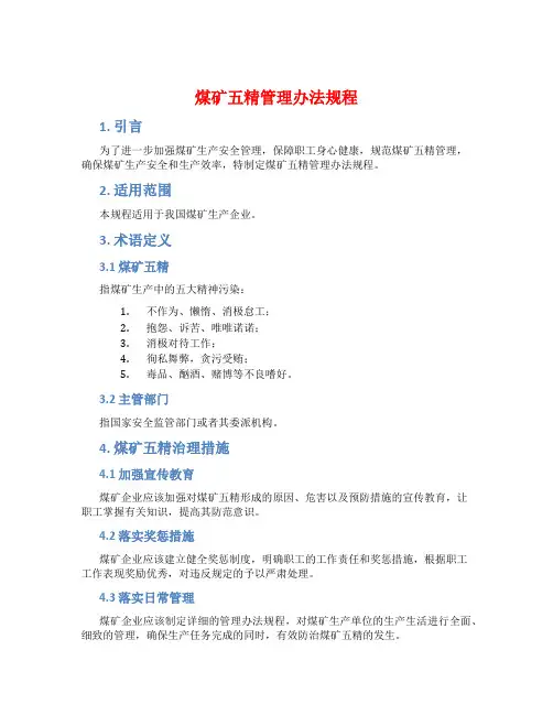 煤矿五精管理办法规程