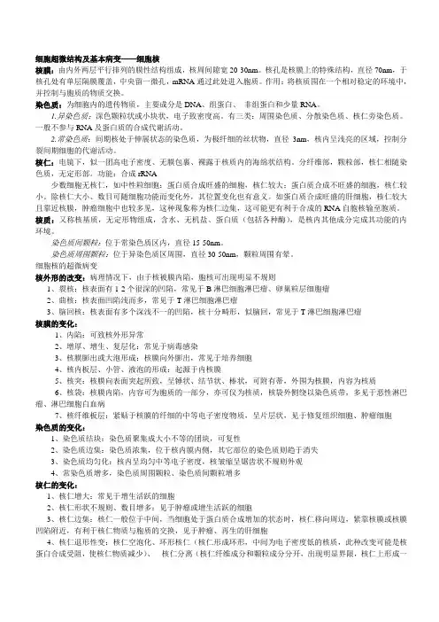 超微病理4