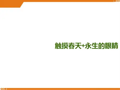 部编版语文四年级上册《触摸春天》 《永生的眼睛》-优课件
