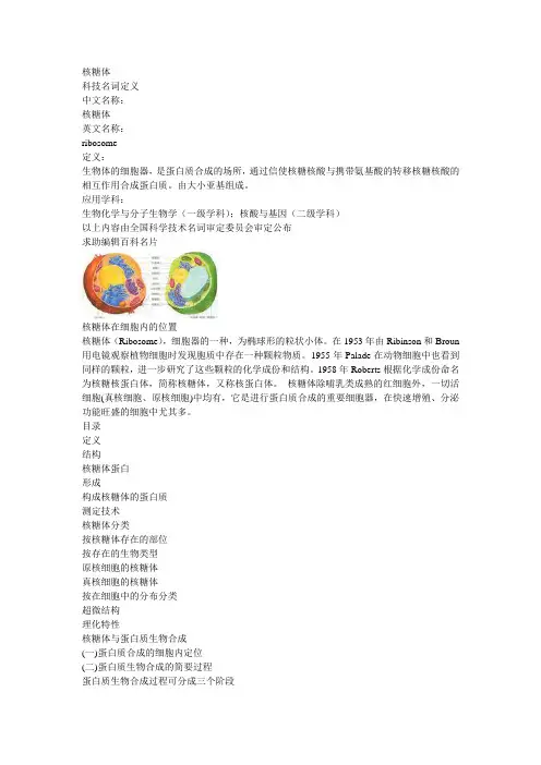 核糖体