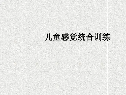 儿童感觉统合训练ppt课件