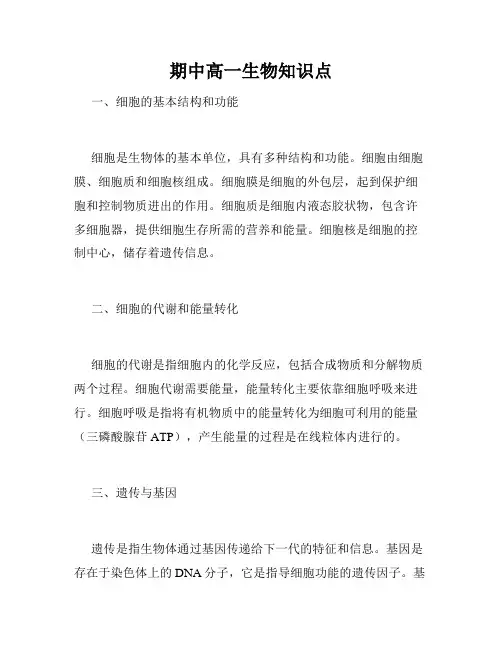 期中高一生物知识点