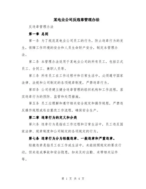 某电业公司反违章管理办法