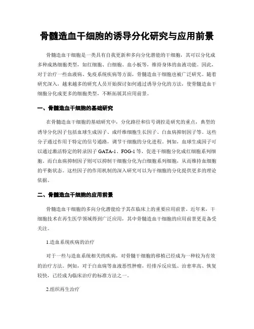骨髓造血干细胞的诱导分化研究与应用前景