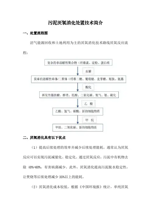 污泥厌氧消化处置技术简介