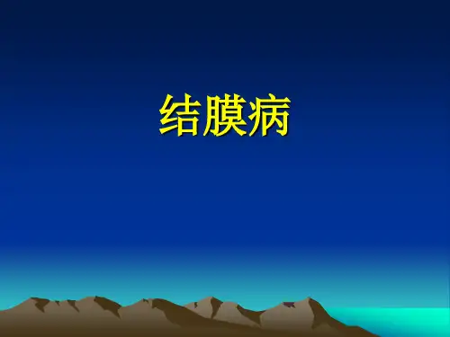 结膜疾病
