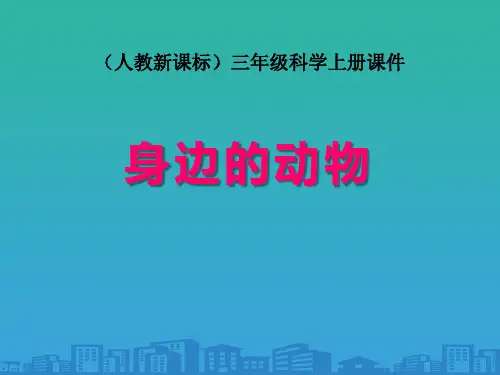 《身边的动物》和动物交朋友课件