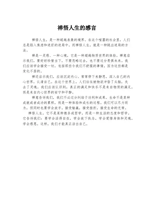 禅悟人生的感言