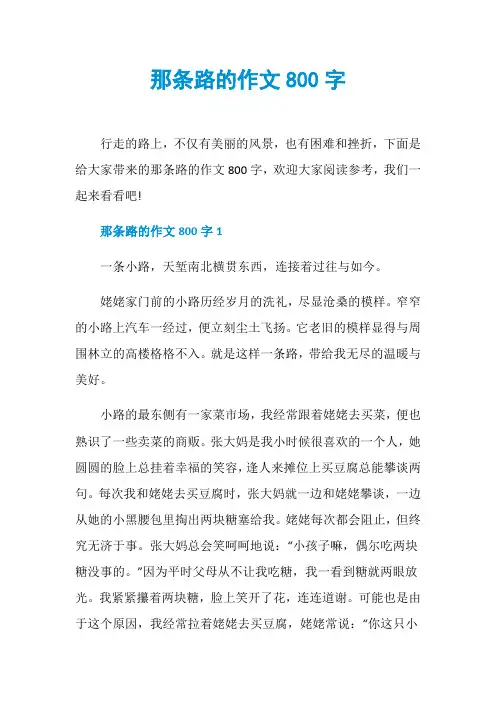 那条路的作文800字