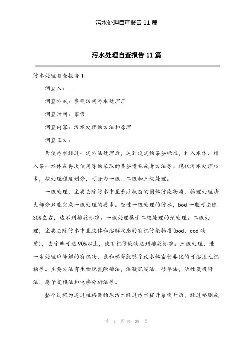2023年污水处理自查报告11篇