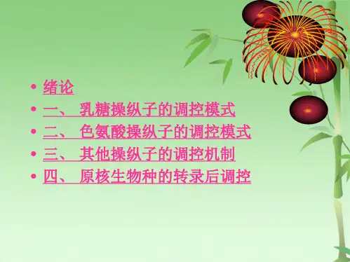 原核基因表达调控(共73张PPT)