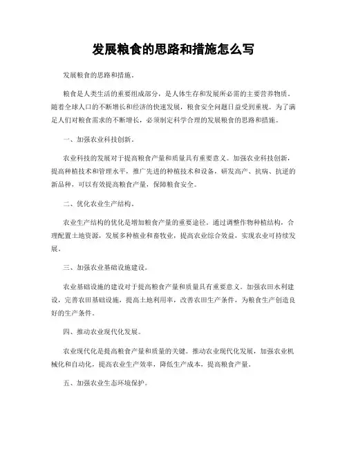 发展粮食的思路和措施怎么写