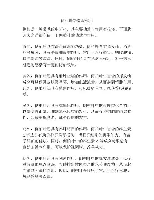 侧柏叶功效与作用