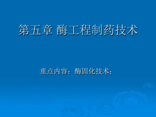 第五章 酶工程制药技术