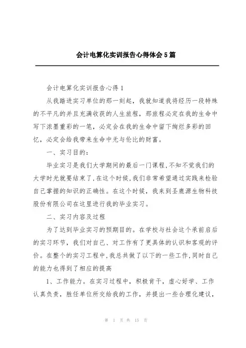 会计电算化实训报告心得体会5篇