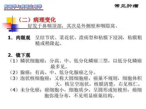 病理学第5章肿瘤-精选文档
