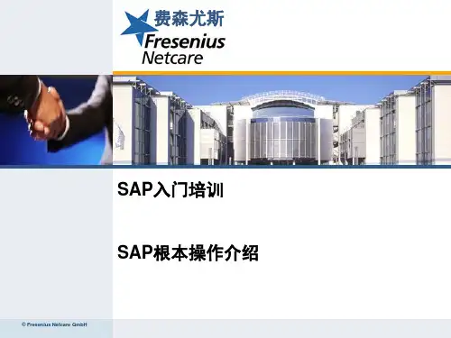 SAP入门基本操作培训