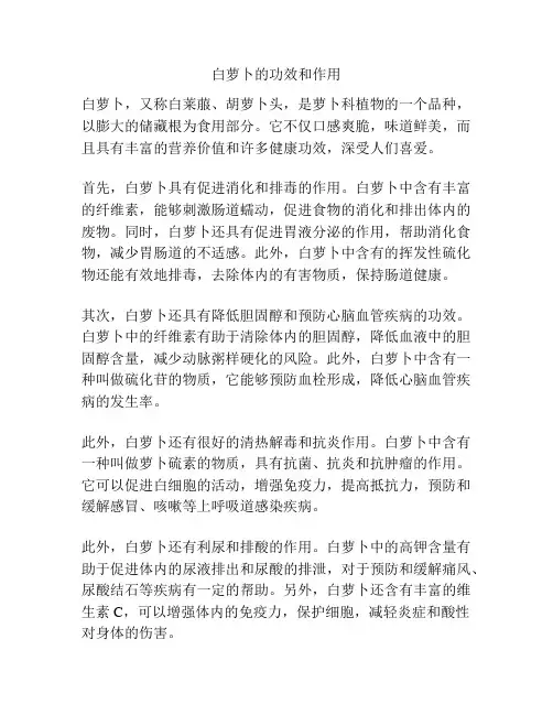 白萝卜的功效和作用