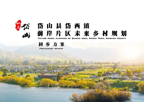 2022 岱西镇前岸片区未来乡村规划初步方案-84页