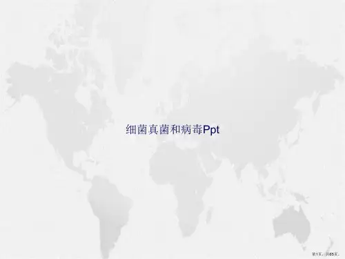 细菌真菌和病毒Ppt讲课文档