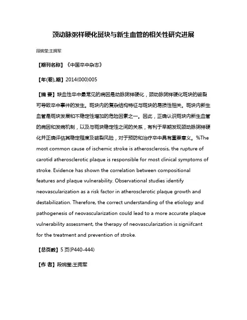颈动脉粥样硬化斑块与新生血管的相关性研究进展