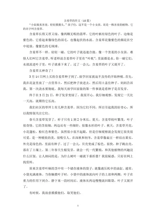 含羞草的作文(10篇)