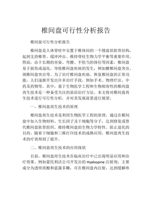 椎间盘可行性分析报告