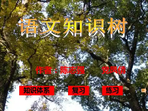 中考语文复习《魏书生——语文知识树》PPT课件