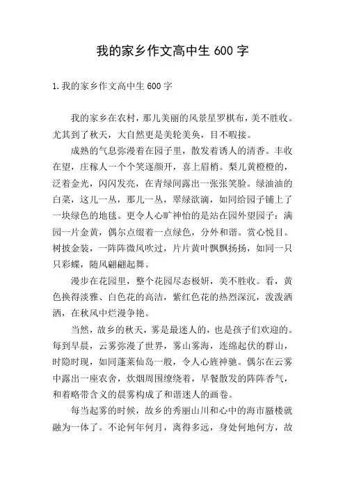 我的家乡作文高中生600字