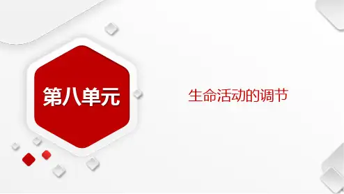 一轮复习  人教版 神经调节(89张) 课件